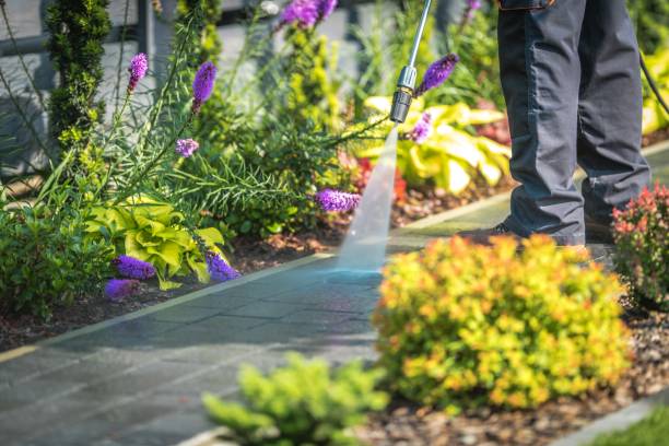 Best Restaurant Pressure Washing  in Wallis, TX
