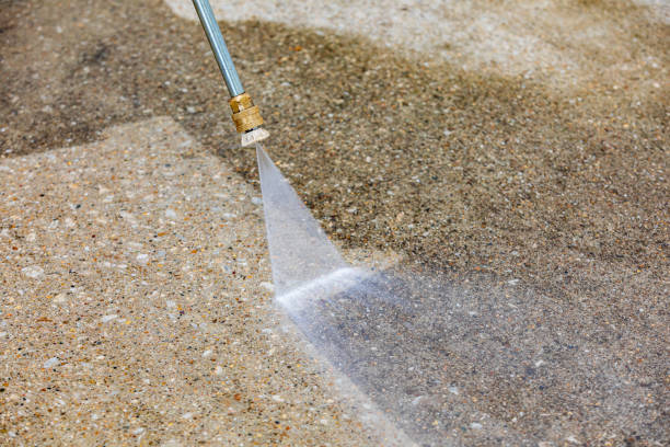 Best Gutter Cleaning  in Wallis, TX