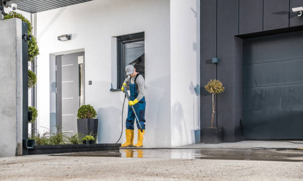 Best Sidewalk and Walkway Cleaning  in Wallis, TX